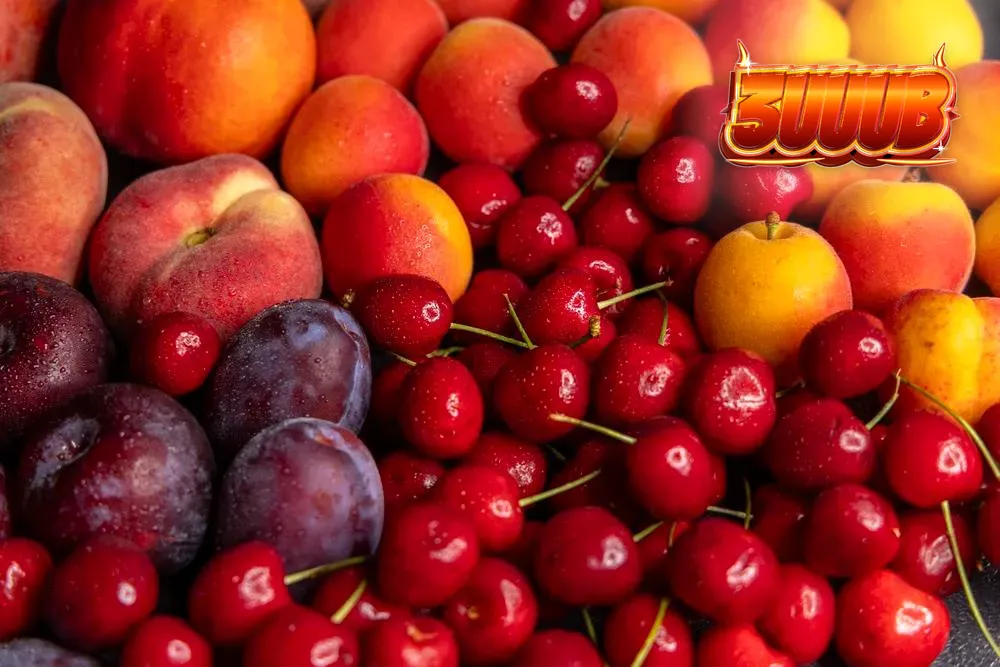 Deretan slot terbaru dari Amusnet dengan tema buah dan fitur modern